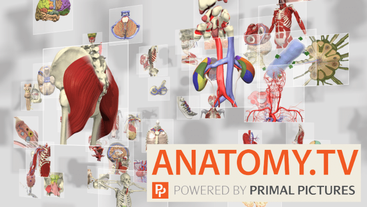 Dental Anatomy VR (Free demo), how to import files Dental Anatomy VR (Free demo), offline repository setup for resilient backups