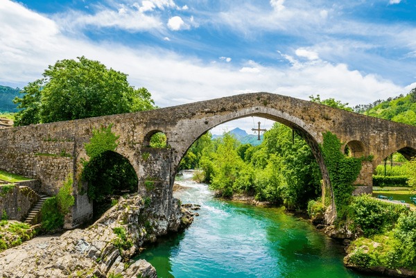 ONIS 2 Free Edition, how to set up ONIS 2 Free Edition, clinic workflow with snapshots and restore points